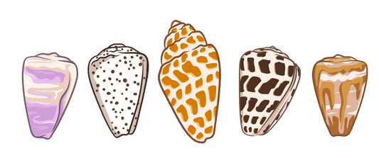 Shell Cluster Sticker