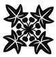 Kukui Kuiki Sticker