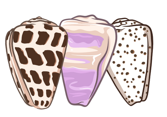 Shell Trio 2 Sticker