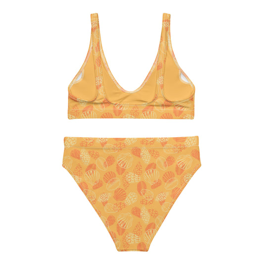 Orange Seashell Midrise 2 piece bikini