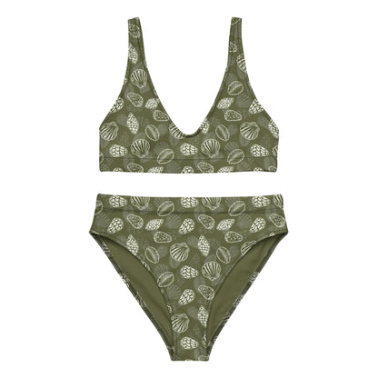 Green Seashell Midrise 2 piece bikini