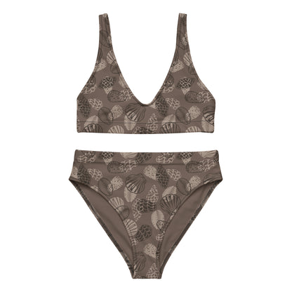 Dark Brown Seashell Midrise 2 piece bikini