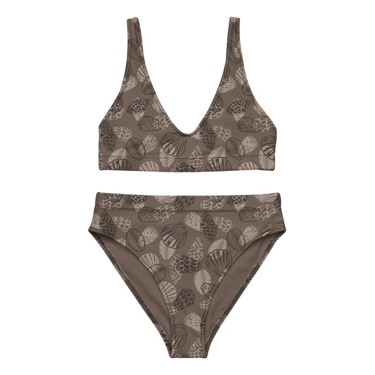 Dark Brown Seashell Midrise 2 piece bikini