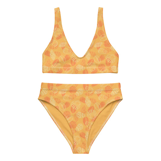 Orange Seashell Midrise 2 piece bikini